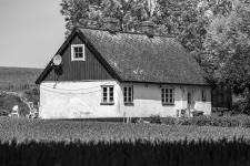 Jan Andersson  Delat Guld
