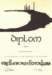diplom 11
