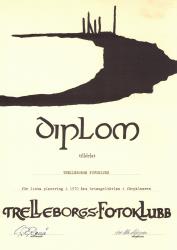 diplom 12