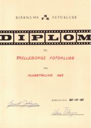 diplom 13