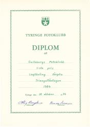 diplom 29