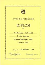 diplom 31