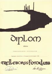 diplom 6