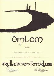 diplom 7